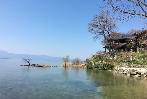 シャーレ水ヶ浜の写真・動画_image_564977
