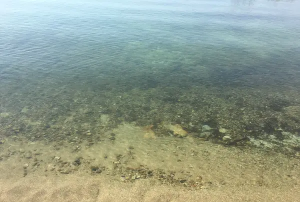 シャーレ水ヶ浜の写真・動画_image_564979