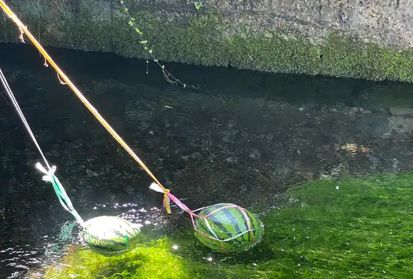 地蔵川の写真・動画_image_564989