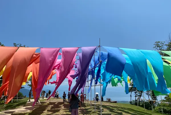 びわこ函館山663㎡の写真・動画_image_565012