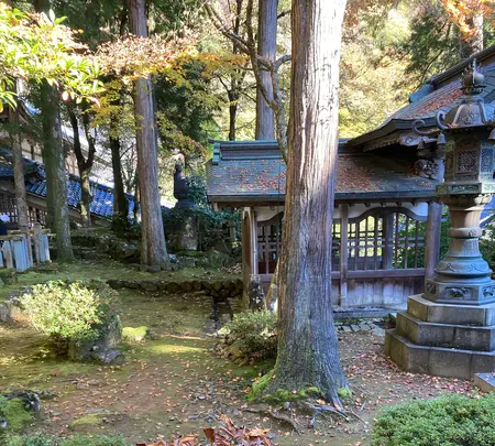 大本山永平寺の写真・動画_image_565153