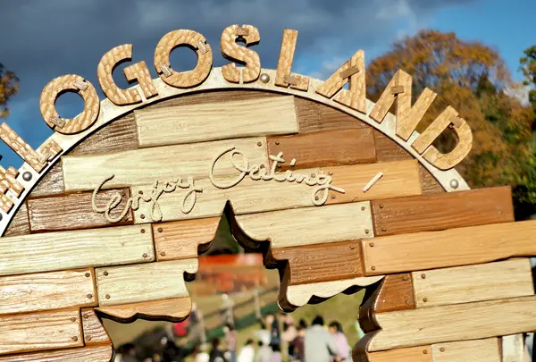 ロゴスランド （LOGOS LAND）の写真・動画_image_565214