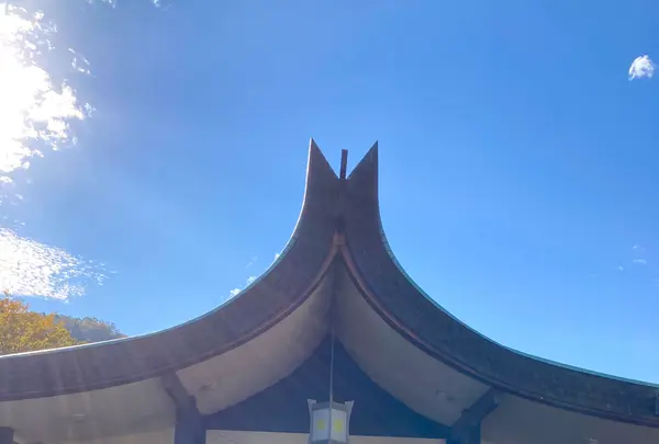 湯回廊 菊屋の写真・動画_image_565579