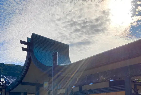 湯回廊 菊屋の写真・動画_image_565582