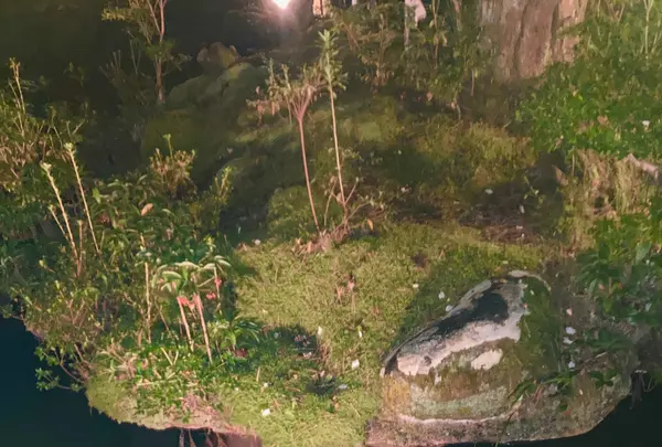 湯回廊 菊屋の写真・動画_image_565611