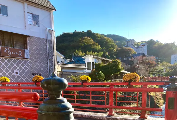 渡月橋の写真・動画_image_565621