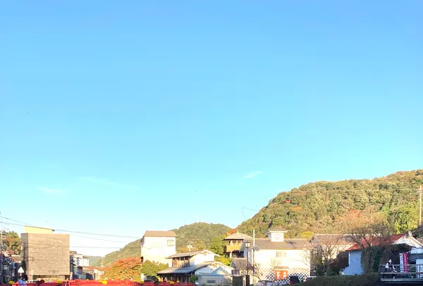 独鈷の湯の写真・動画_image_565623