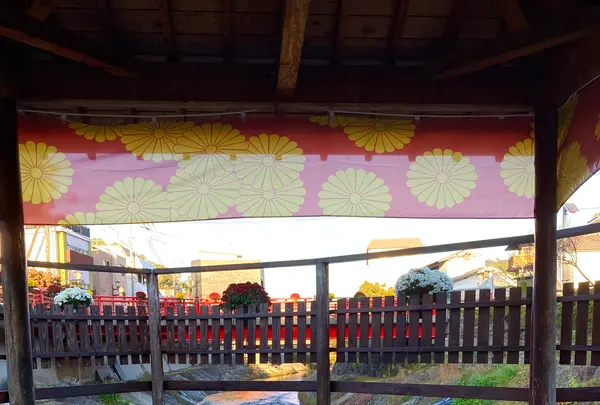 独鈷の湯の写真・動画_image_565624