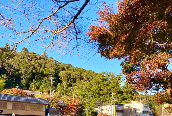 独鈷の湯の写真・動画_image_565625