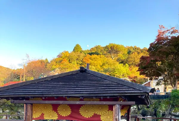 独鈷の湯の写真・動画_image_565626