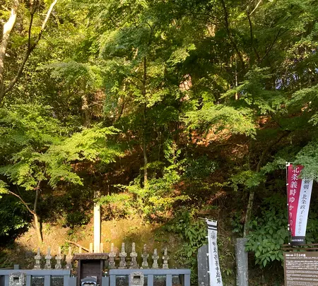 源氏公園の写真・動画_image_565628