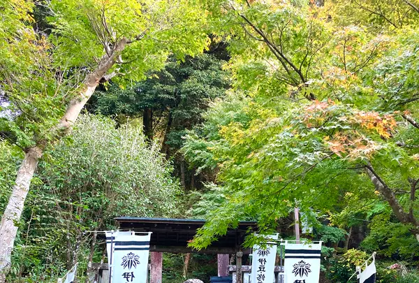 源氏公園の写真・動画_image_565630