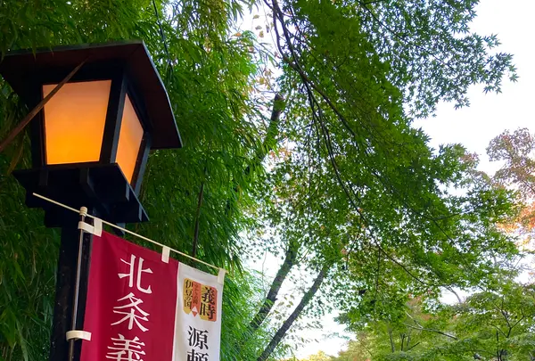 竹林の小径の写真・動画_image_565632