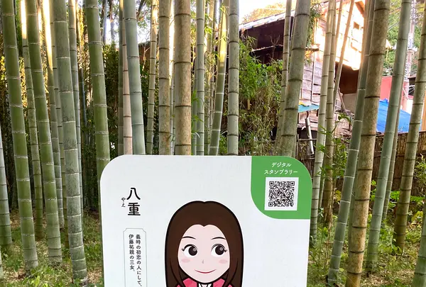 竹林の小径の写真・動画_image_565633