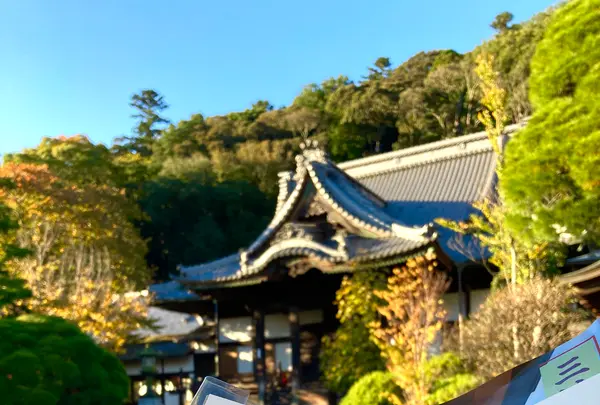 修禅寺の写真・動画_image_565643