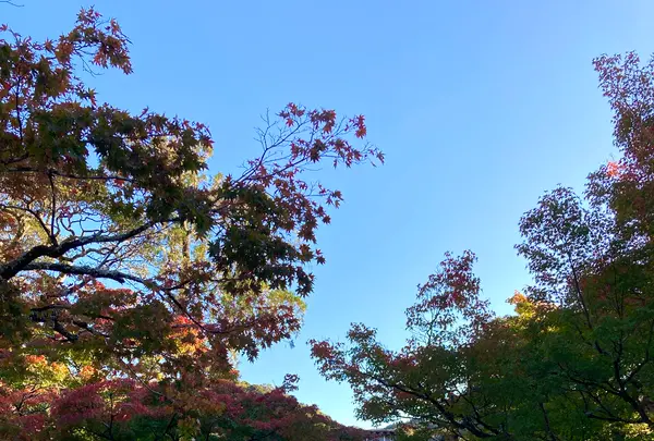 修禅寺の写真・動画_image_565644