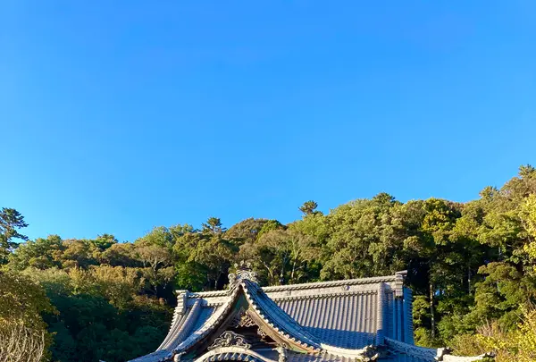 修禅寺の写真・動画_image_565649
