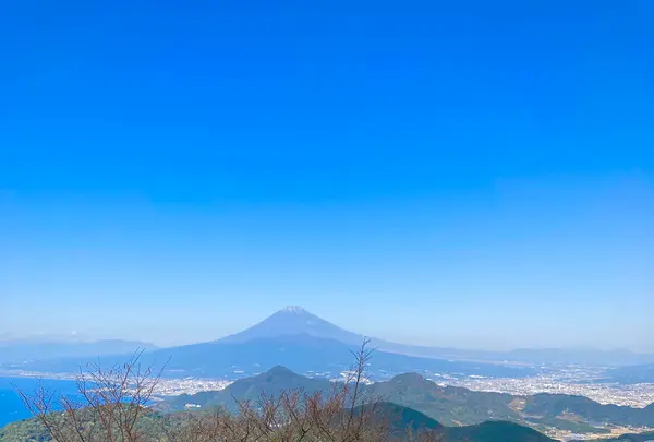 伊豆の国パノラマパークの写真・動画_image_565657