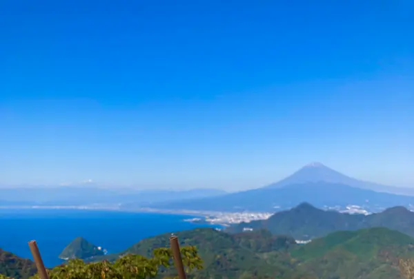 伊豆の国パノラマパークの写真・動画_image_565658