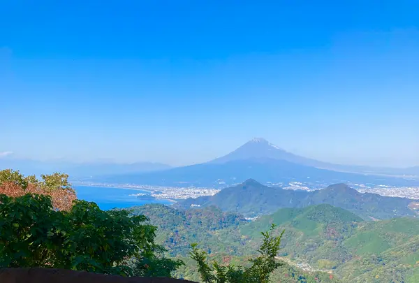 伊豆の国パノラマパークの写真・動画_image_565659