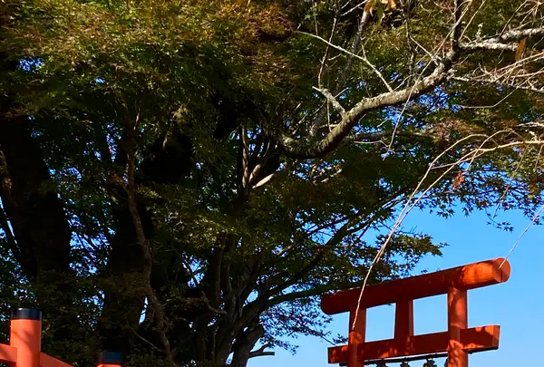 伊豆の国パノラマパークの写真・動画_image_565662