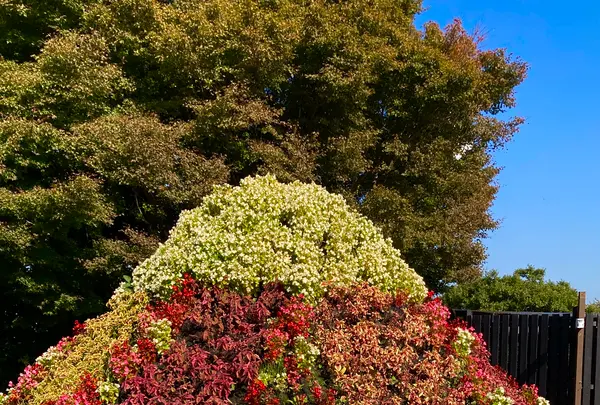 伊豆の国パノラマパークの写真・動画_image_565668