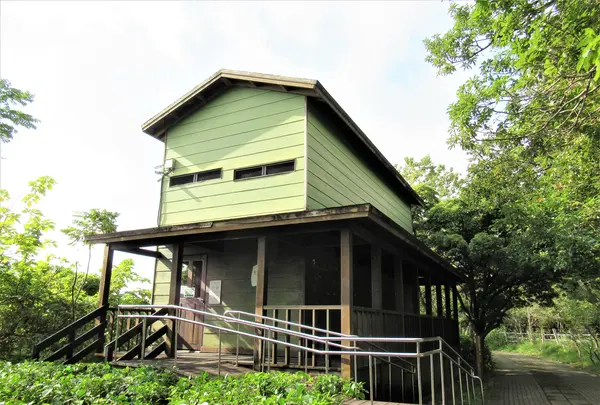 関渡自然公園の写真・動画_image_565692