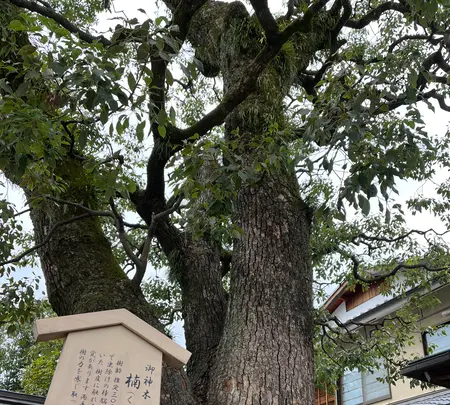 清明神社の写真・動画_image_566194