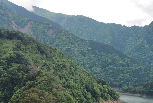 奥大井湖上駅の写真・動画_image_566457