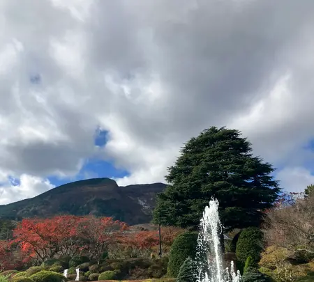箱根強羅公園の写真・動画_image_566470