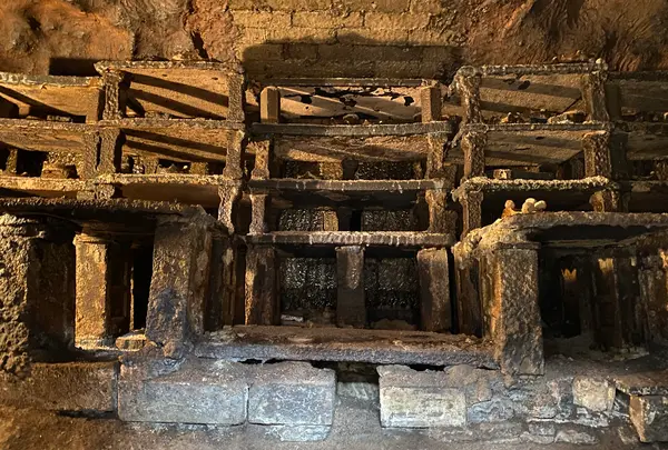 宗陶苑の写真・動画_image_566480