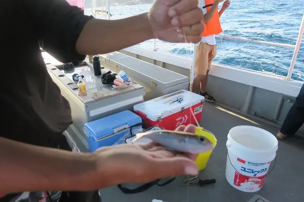 安室島の写真・動画_image_566631