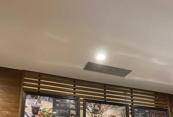 並木カフェ メタセコイアの写真・動画_image_566639