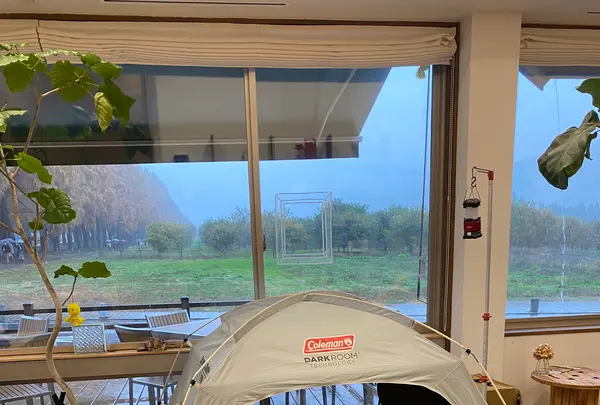 並木カフェ メタセコイアの写真・動画_image_566644