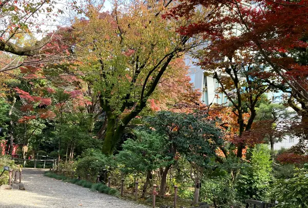 旧乃木邸の庭園
