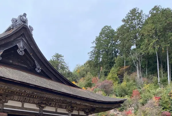 善水寺の写真・動画_image_567056