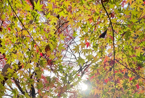 長寿寺の写真・動画_image_567061