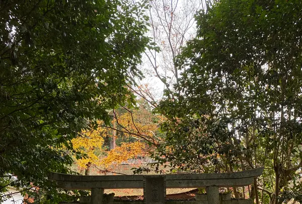 長寿寺の写真・動画_image_567062