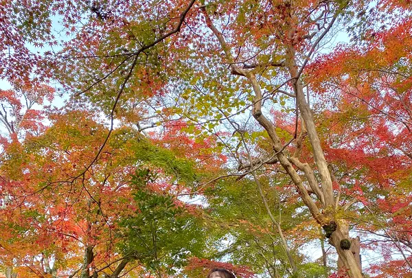長寿寺の写真・動画_image_567063