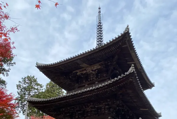 阿星山 常楽寺の写真・動画_image_567071