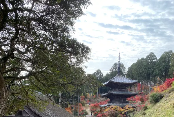 阿星山 常楽寺の写真・動画_image_567072