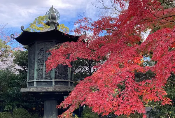 庭園の紅葉
