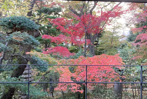 根津美術館の写真・動画_image_567099