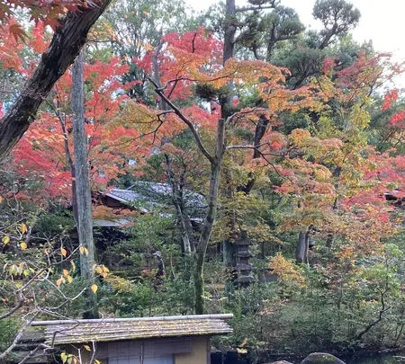根津美術館の写真・動画_image_567101