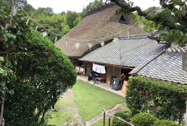 はなとねの写真・動画_image_567143