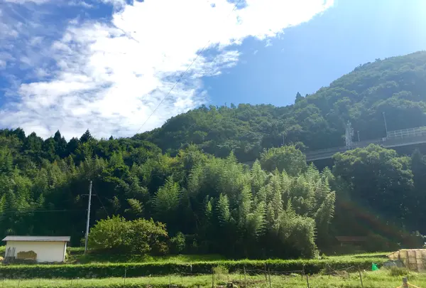 古民家Cafe Slow Lifeの写真・動画_image_567146