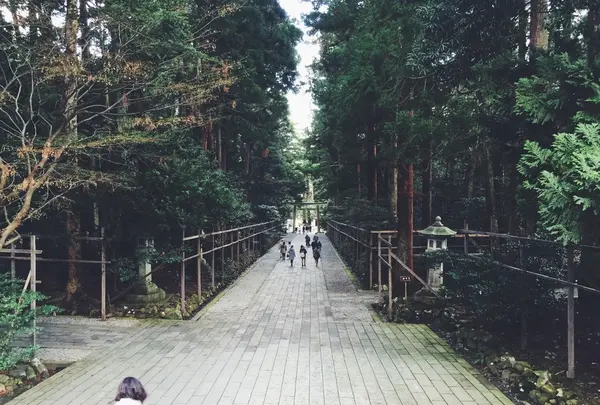 彌彦神社の写真・動画_image_56770