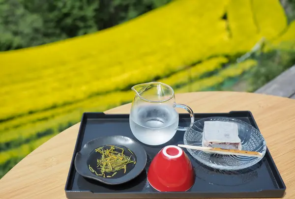 黄金緑の茶畑の写真・動画_image_568284