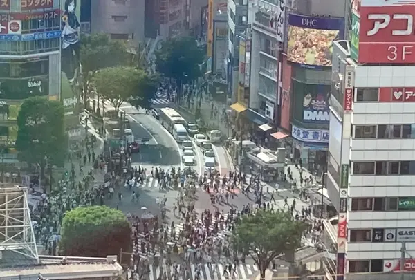 スカイロビーの写真・動画_image_568474