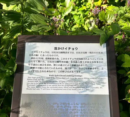 日比谷公園の写真・動画_image_569294